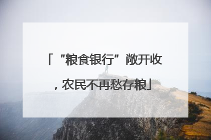 “粮食银行”敞开收，农民不再愁存粮